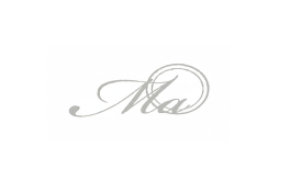 Metro Auto Repair Workshop